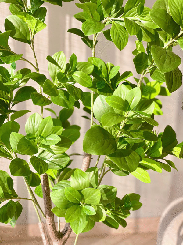 Plante artificielle de pépéromia dense – 1,50 mètre - Image 4