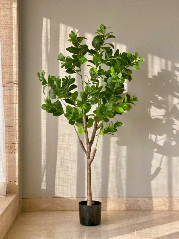 Plante artificielle de pépéromia dense – 1,50 mètre - Image 5