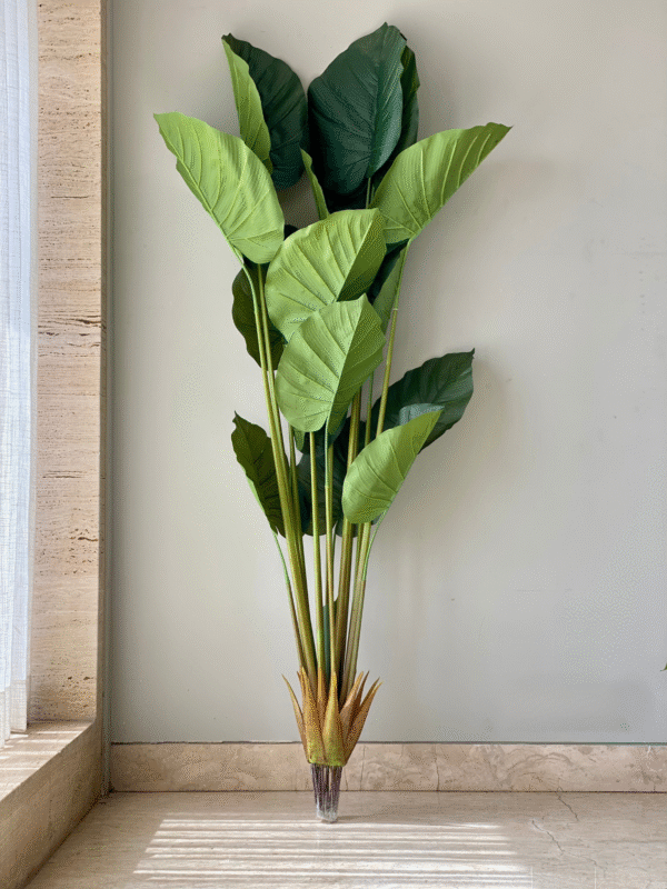 Plante artificielle Pothos Perennifolia – 1,68 mètre - Image 5