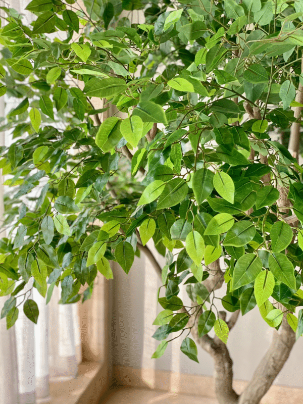 Plante artificielle Ficus Palatial – 2,40 mètres - Image 2