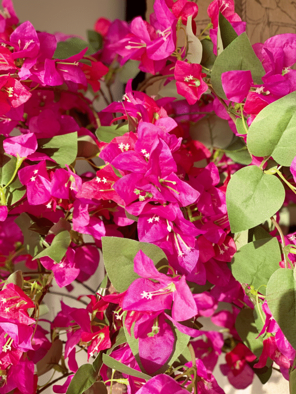 Plante artificielle de bougainvillier Blume rose – 1,50 mètre - Image 3