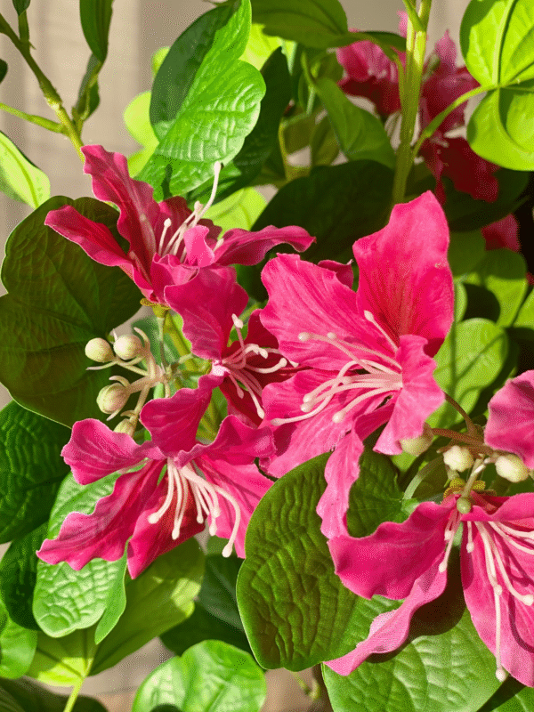 Plante artificielle de Bauhinia Rubor – 1,50 mètre - Image 3