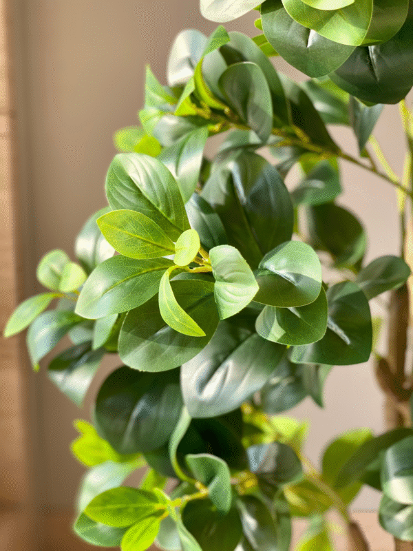 Plante artificielle de pépéromia – 1,20 mètre - Image 4