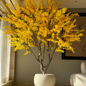 179_3d1d62bb-2dec-43d4-8c24-8337eb569737-1.png
